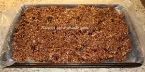 barrinha nutritiva 11