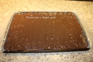 barrinha nutritiva 16