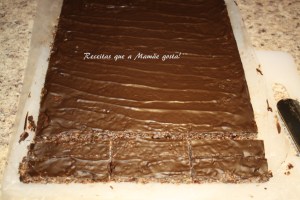 barrinha nutritiva 17