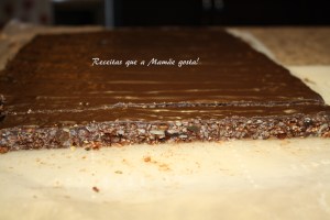 barrinha nutritiva 18